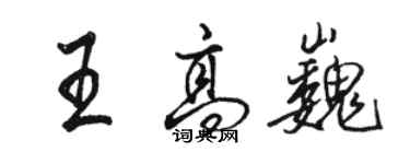 駱恆光王高巍行書個性簽名怎么寫