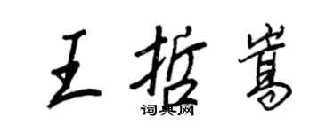 王正良王哲嵩行書個性簽名怎么寫