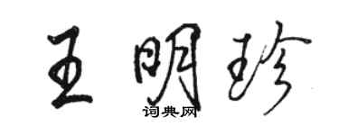 駱恆光王明珍行書個性簽名怎么寫
