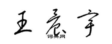 梁錦英王晨宇草書個性簽名怎么寫