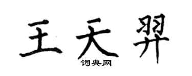 何伯昌王天羿楷書個性簽名怎么寫