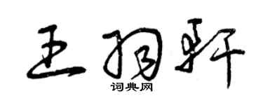 曾慶福王羽軒草書個性簽名怎么寫