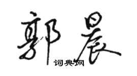 駱恆光郭晨行書個性簽名怎么寫