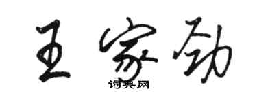 駱恆光王家勁行書個性簽名怎么寫