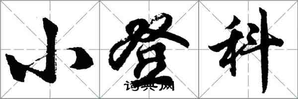 胡問遂小登科行書怎么寫