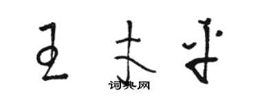 駱恆光王才平草書個性簽名怎么寫