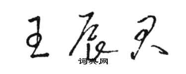 駱恆光王辰君草書個性簽名怎么寫