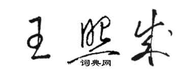 駱恆光王照成草書個性簽名怎么寫