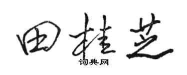 駱恆光田桂芝行書個性簽名怎么寫