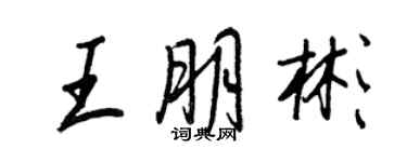 王正良王朋彬行書個性簽名怎么寫