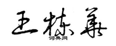 曾慶福王棟華草書個性簽名怎么寫