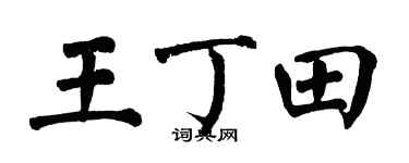 翁闓運王丁田楷書個性簽名怎么寫