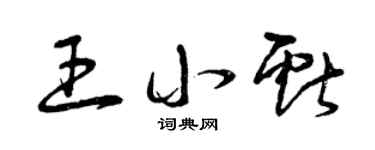 曾慶福王小獻草書個性簽名怎么寫