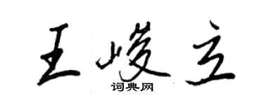 王正良王峻立行書個性簽名怎么寫