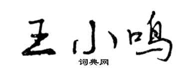 曾慶福王小鳴行書個性簽名怎么寫