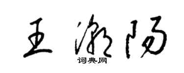 梁錦英王潮陽草書個性簽名怎么寫