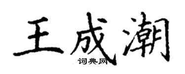 丁謙王成潮楷書個性簽名怎么寫