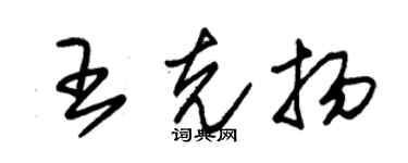 朱錫榮王克揚草書個性簽名怎么寫