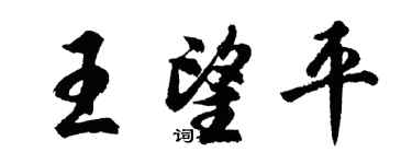 胡問遂王望平行書個性簽名怎么寫