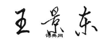 駱恆光王景東行書個性簽名怎么寫