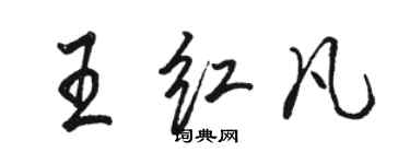 駱恆光王紅凡行書個性簽名怎么寫