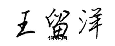 王正良王留洋行書個性簽名怎么寫