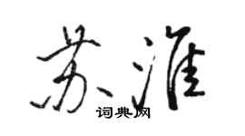 駱恆光蘇淮行書個性簽名怎么寫