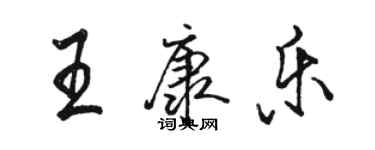 駱恆光王康樂行書個性簽名怎么寫