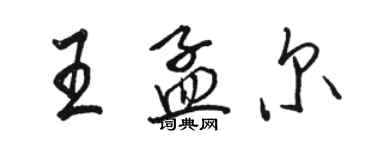 駱恆光王孟爾行書個性簽名怎么寫