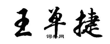 胡問遂王單捷行書個性簽名怎么寫