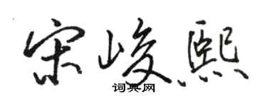 駱恆光宋峻熙行書個性簽名怎么寫