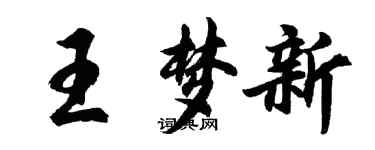 胡問遂王夢新行書個性簽名怎么寫