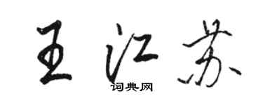 駱恆光王江蘇行書個性簽名怎么寫