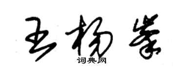 朱錫榮王楊峰草書個性簽名怎么寫
