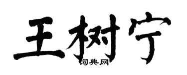 翁闓運王樹寧楷書個性簽名怎么寫
