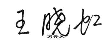 駱恆光王曉虹草書個性簽名怎么寫