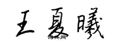 王正良王夏曦行書個性簽名怎么寫