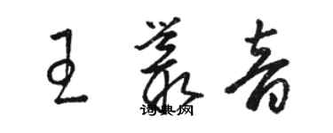 駱恆光王叢音草書個性簽名怎么寫