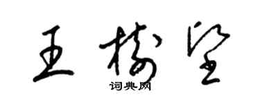 梁錦英王樹堅草書個性簽名怎么寫