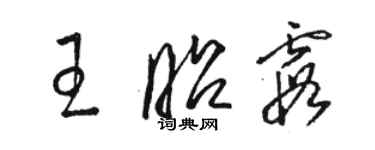 駱恆光王昭霞草書個性簽名怎么寫