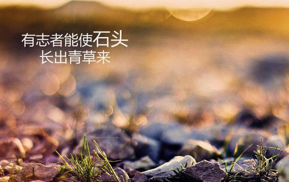 哉組詞_哉的拼音含義_組詞造句解釋_哉字的組詞