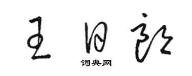 駱恆光王日朗草書個性簽名怎么寫