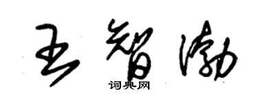 朱錫榮王智渤草書個性簽名怎么寫