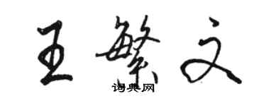 駱恆光王繁文行書個性簽名怎么寫