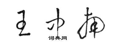 駱恆光王中南草書個性簽名怎么寫