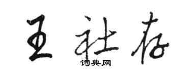 駱恆光王社存行書個性簽名怎么寫