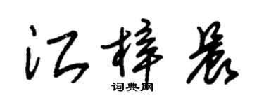 朱錫榮江梓晨草書個性簽名怎么寫