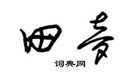 朱錫榮田夢草書個性簽名怎么寫