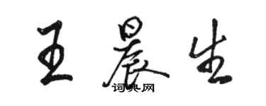 駱恆光王晨生行書個性簽名怎么寫