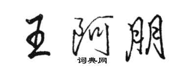 駱恆光王阿朋行書個性簽名怎么寫